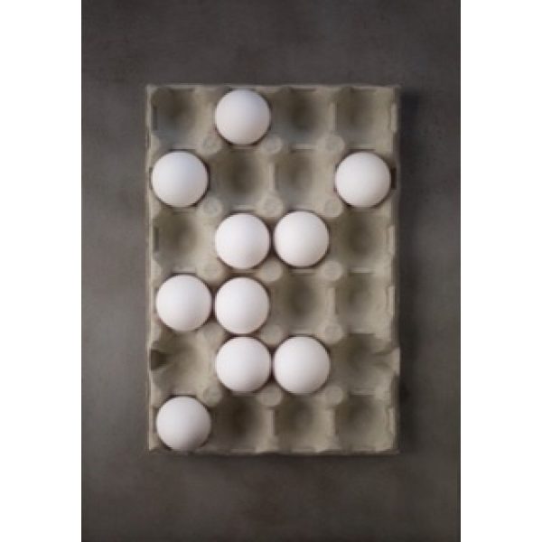 Eggs Poster 30x40 cm Storefactory My Home and More